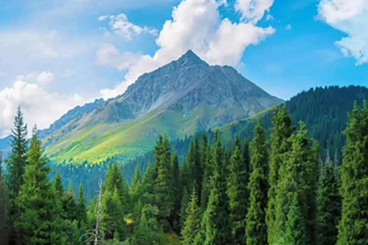 2026 年塑料軟包裝行業(yè)的核心